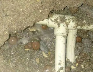 临渭卫生间测漏